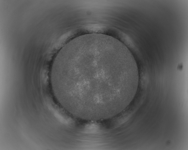 X0000116830259200912181441