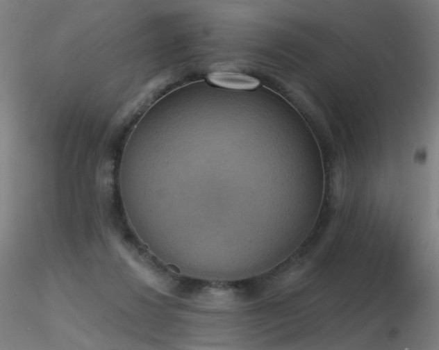 X0000116830260200912181441