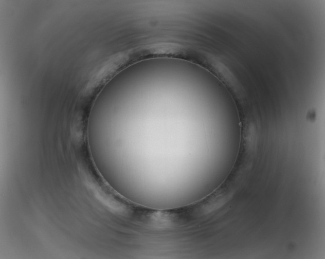 X0000116830261200912181441