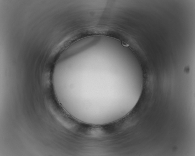 X0000116830262200912181441