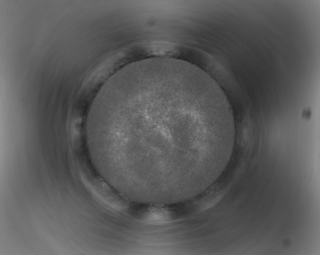 X0000116830263200912181441