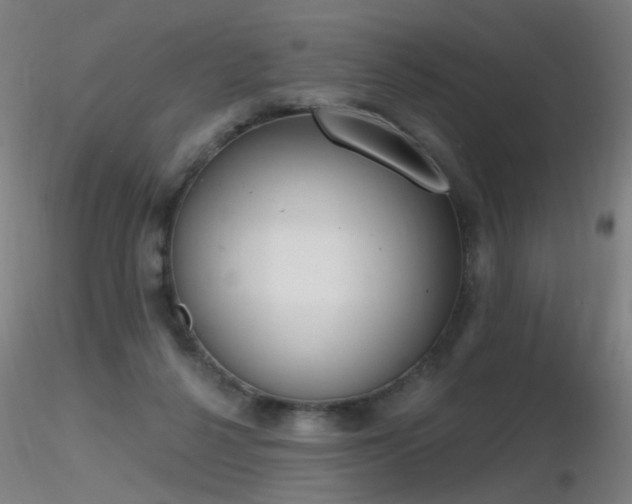 X0000116830264200912181441