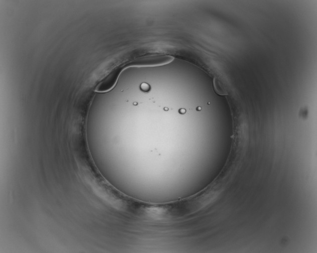 X0000116830265200912181441
