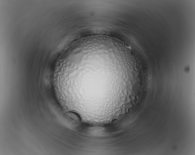 X0000116830266200912181441