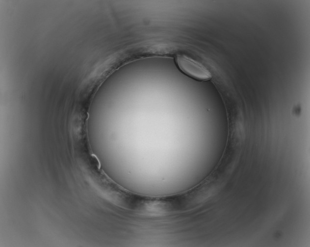 X0000116830268200912181441