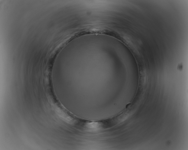 X0000116830269200912181441