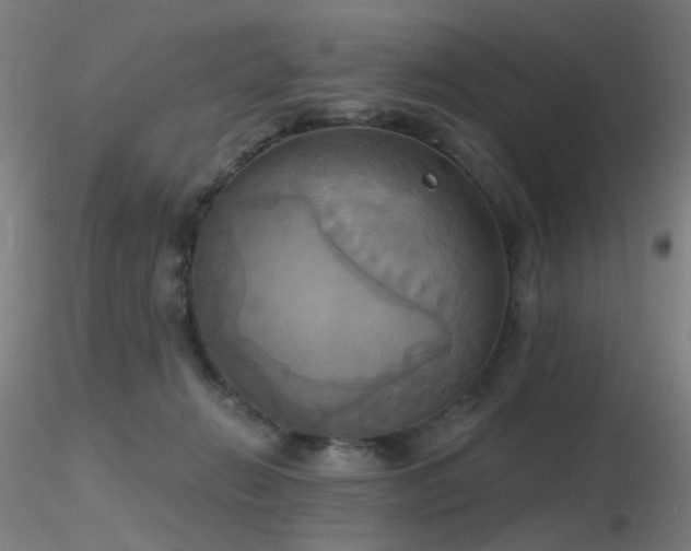 X0000116830270200912181441