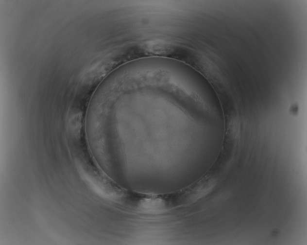 X0000116830271200912181441