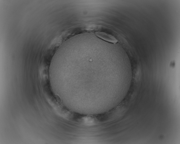 X0000116830272200912181441