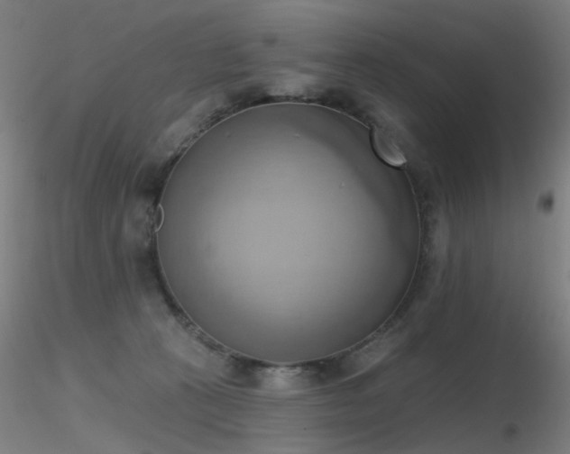X0000116830273200912181441
