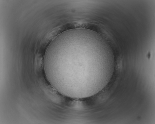 X0000116830276200912181441