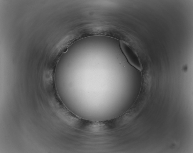 X0000116830278200912181441