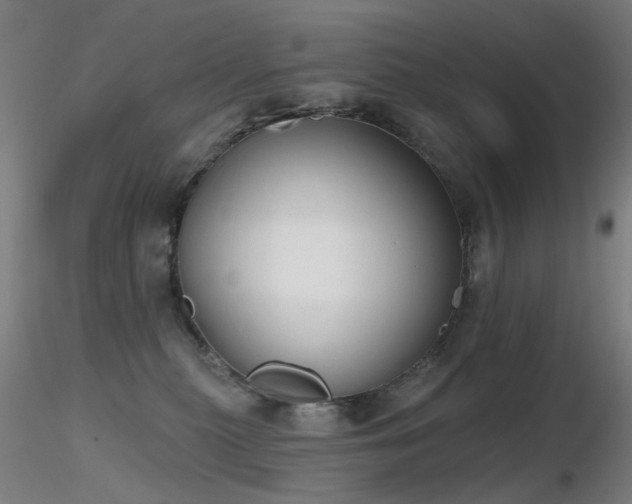 X0000116830279200912181441