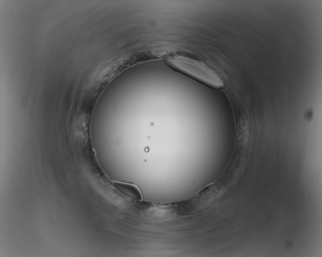 X0000116830280200912181441