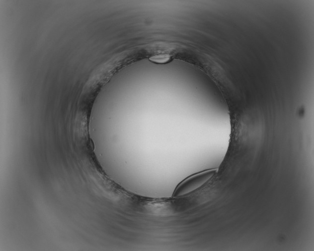 X0000116830283200912181441