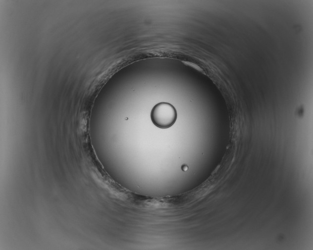 X0000116830284200912181441