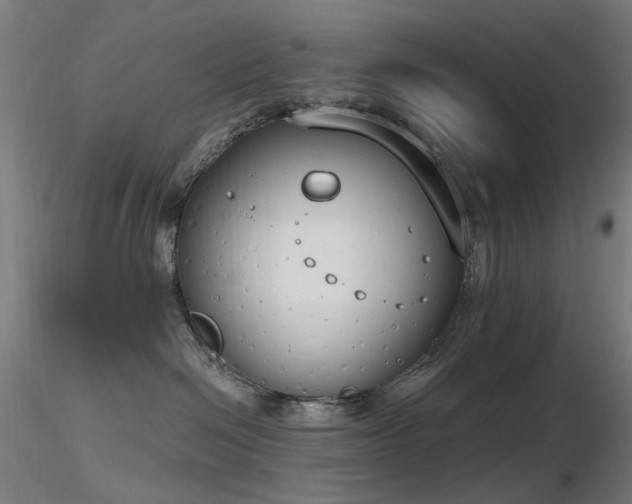 X0000116830286200912181441