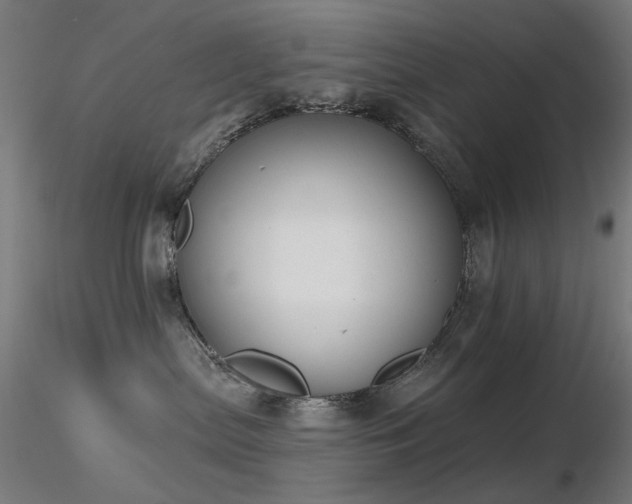 X0000116830287200912181441