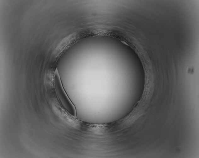 X0000116830288200912181441