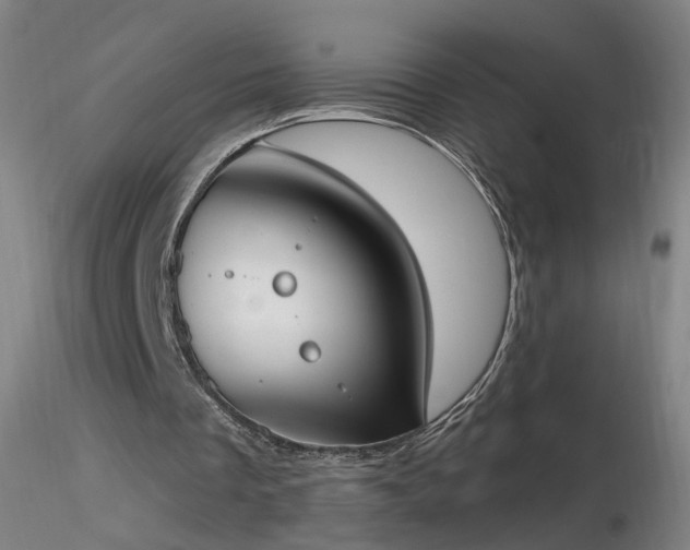 X0000116830289200912181440