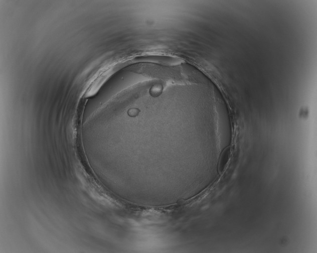 X0000116830290200912181440