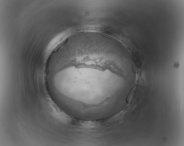 X0000116830293200912181440