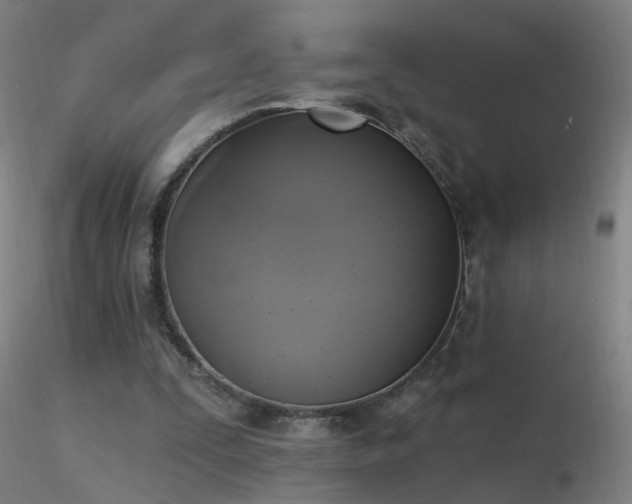 X0000116830295200912181440