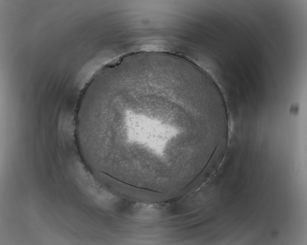 X0000116830297200912181440