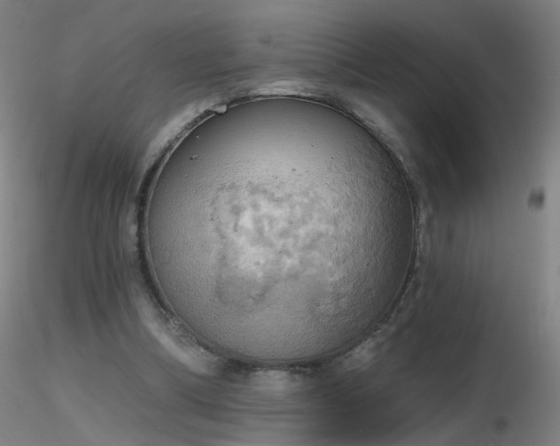 X0000116830298200912181440