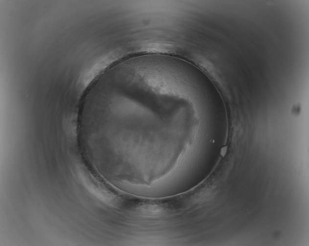 X0000116830299200912181440