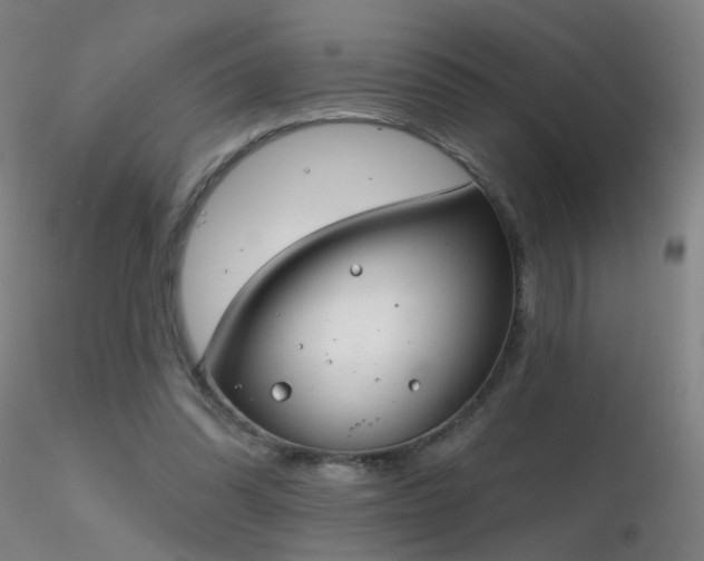 X0000116830302200912181440