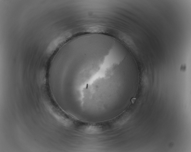 X0000116830303200912181440