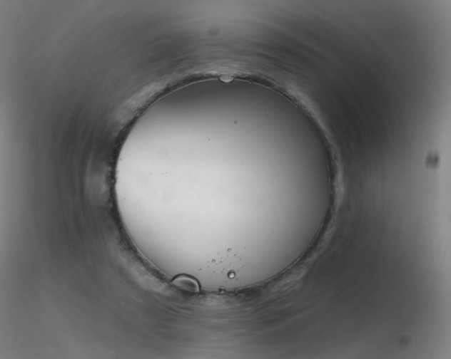 X0000116830305200912181440