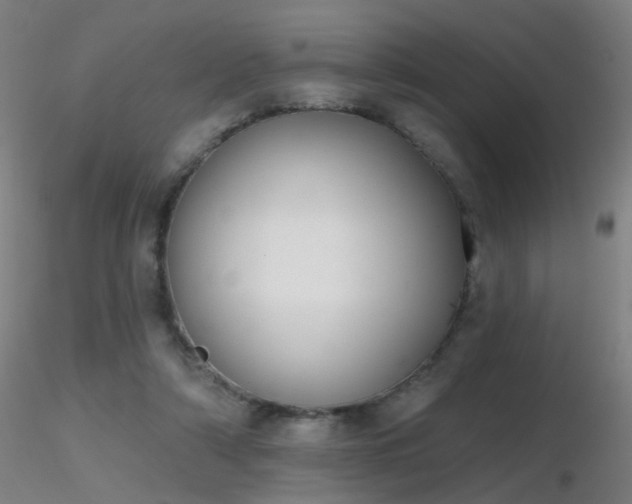 X0000116830306200912181440