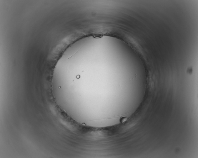 X0000116830307200912181440