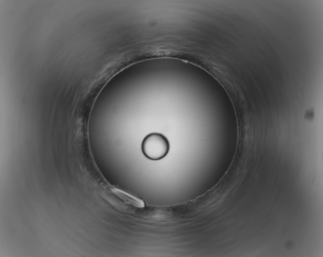 X0000116830308200912181440