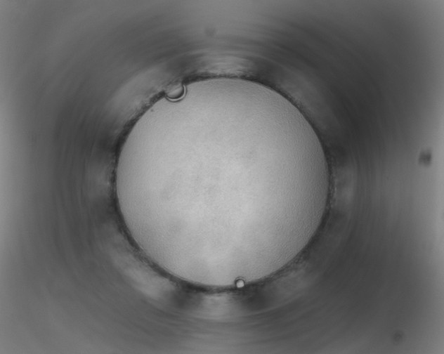 X0000116830309200912181440