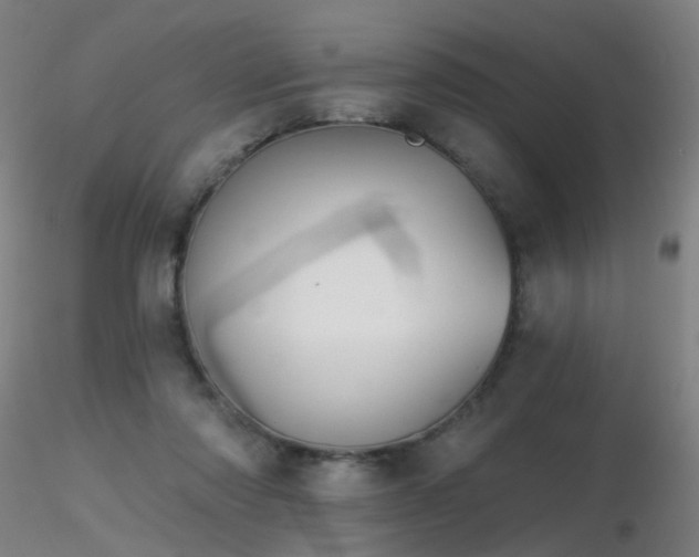 X0000116830310200912181440