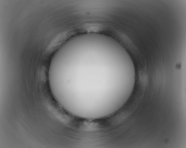 X0000116830311200912181440