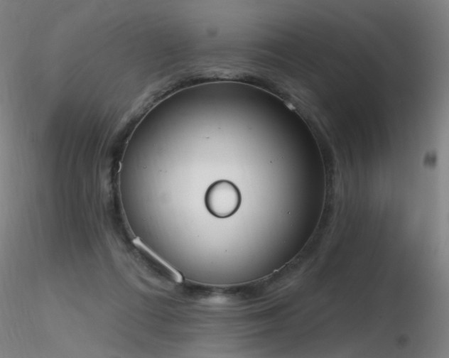 X0000116830312200912181440