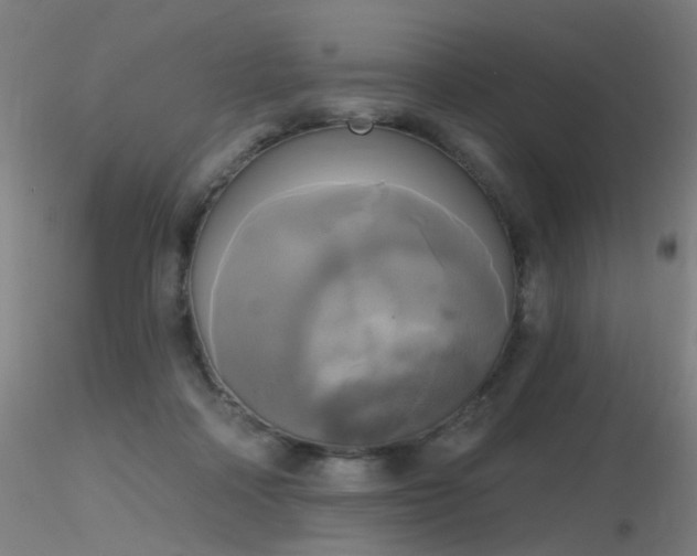 X0000116830314200912181440