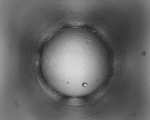 X0000116830315200912181440