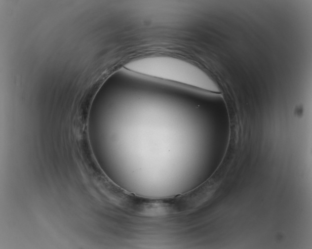 X0000116830316200912181440