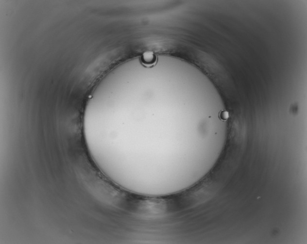 X0000116830317200912181440