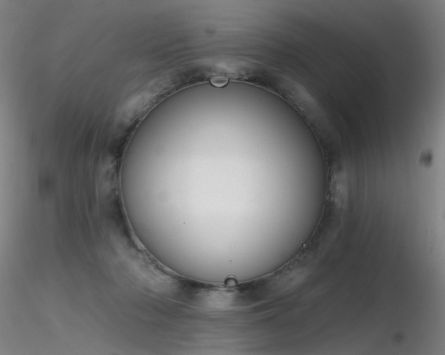 X0000116830318200912181440