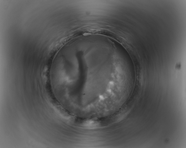 X0000116830319200912181440