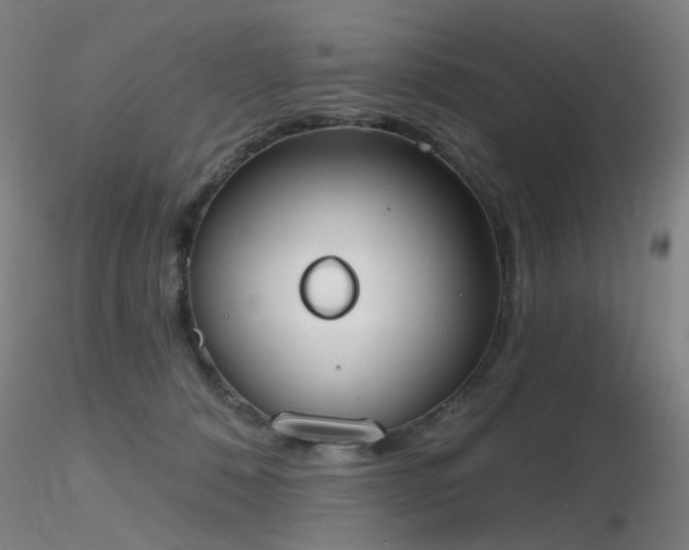 X0000116830320200912181440