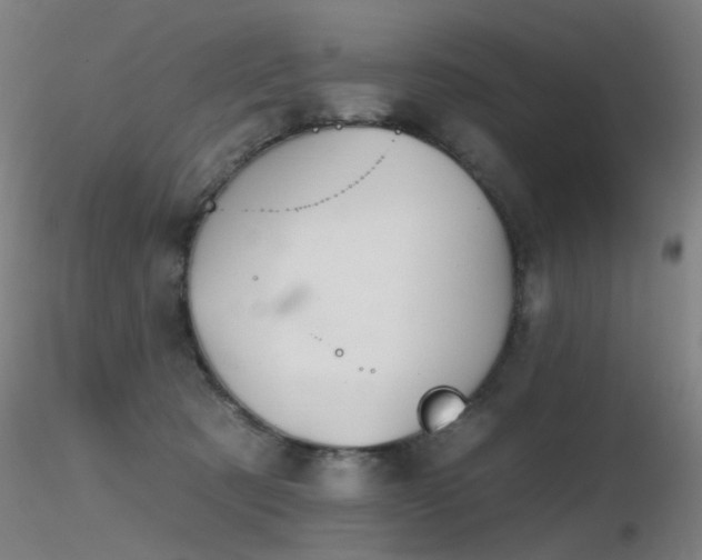 X0000116830321200912181440