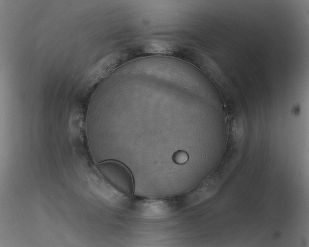 X0000116830322200912181440