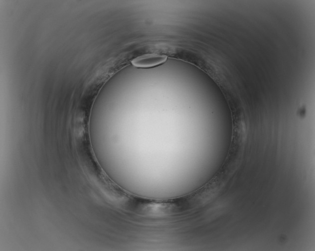 X0000116830323200912181440